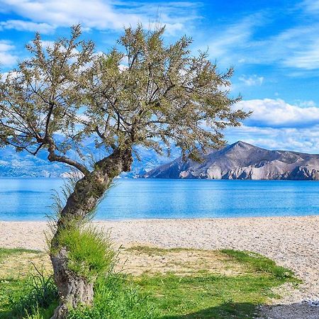 Villa Zlata - Holiday House باشْكا المظهر الخارجي الصورة