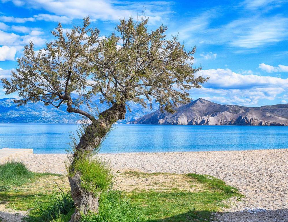 Villa Zlata - Holiday House باشْكا المظهر الخارجي الصورة